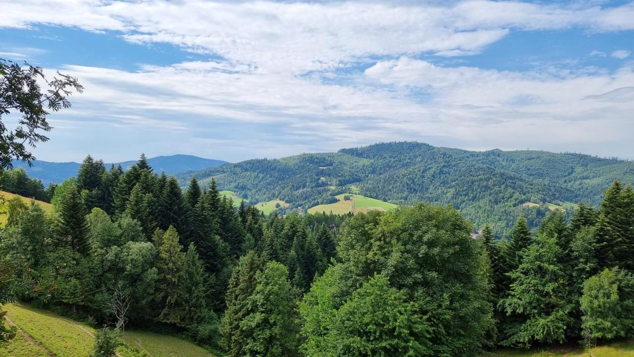Rezydencja Barrettski Wisła Exteriör bild